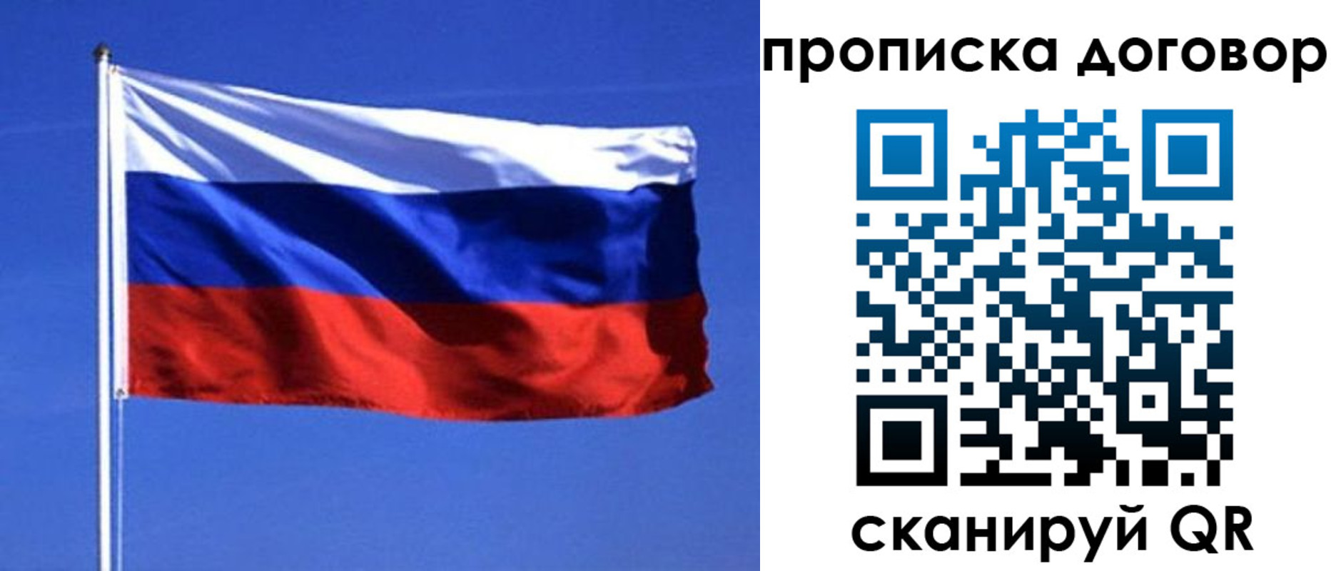 прописка поиск в Кораблино